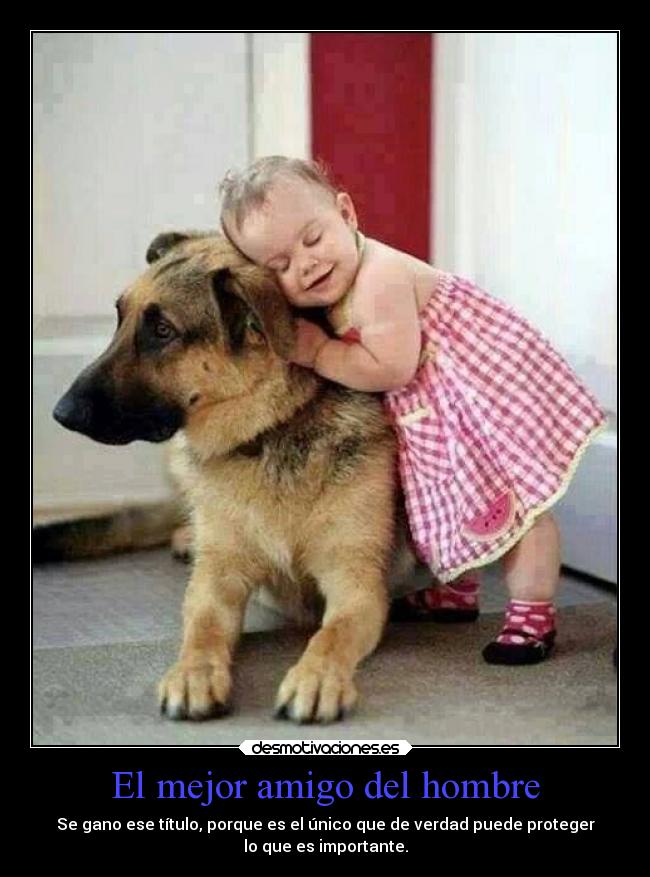 El mejor amigo del hombre - Se gano ese título, porque es el único que de verdad puede proteger
lo que es importante.