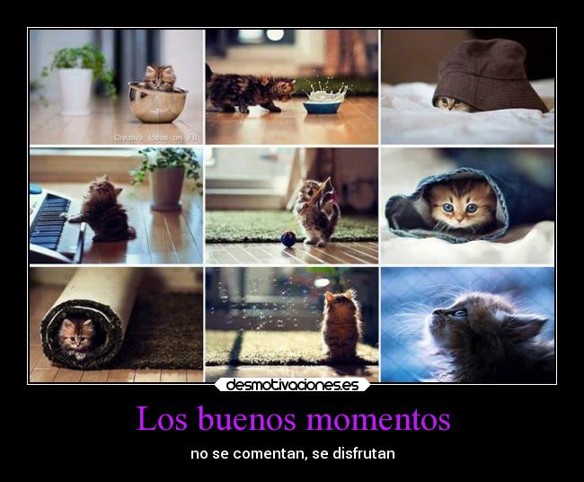 Los buenos momentos -