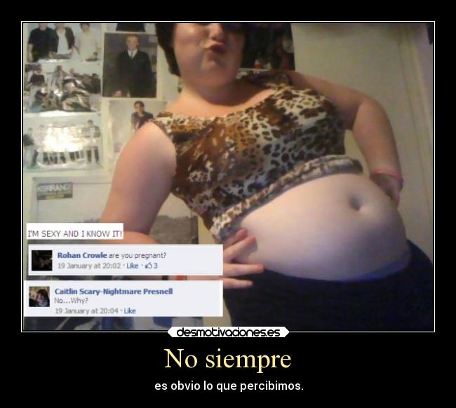 carteles animales gorda desmotivaciones