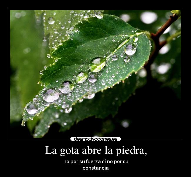 La gota abre la piedra, -