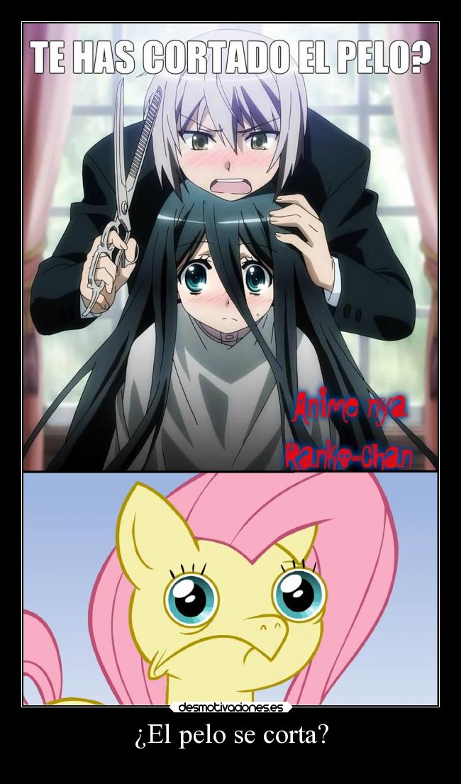 ¿El pelo se corta? -