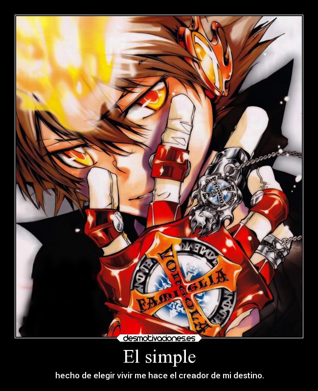 carteles anime katekyo hitman reborn sawada tsunayoshi desmotivaciones