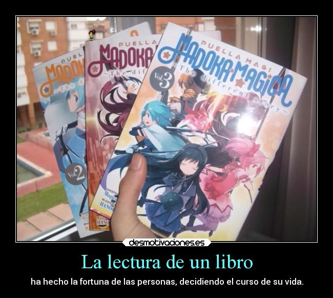 La lectura de un libro - 