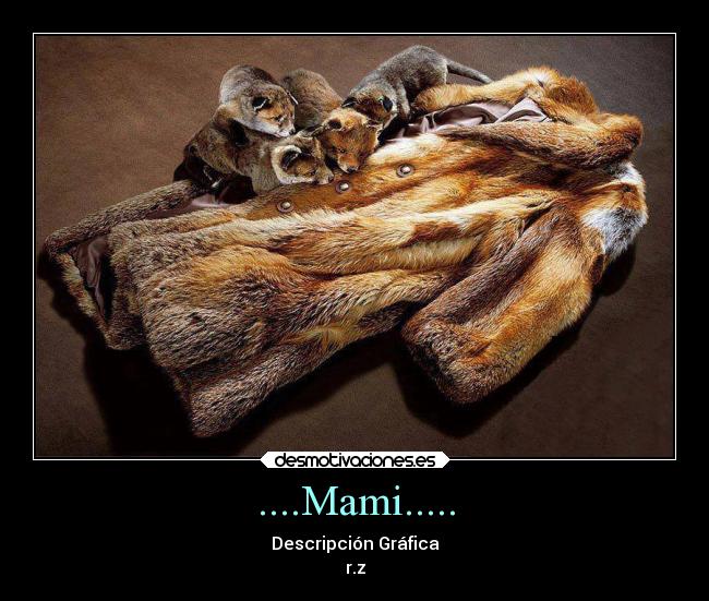 ....Mami..... - Descripción Gráfica
r.z