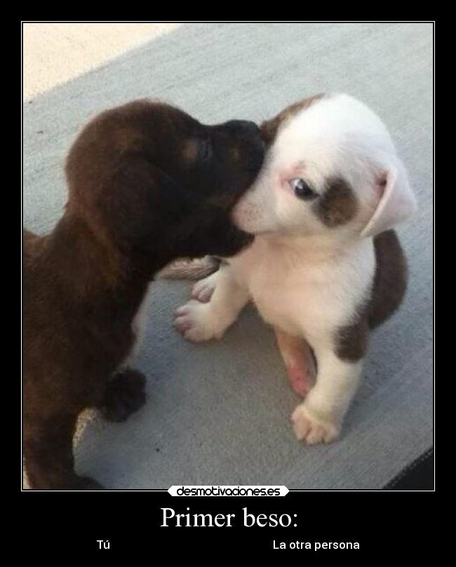 carteles besos aburro mucho los perros son monisimos who doest love the dogs ingles desmotivaciones