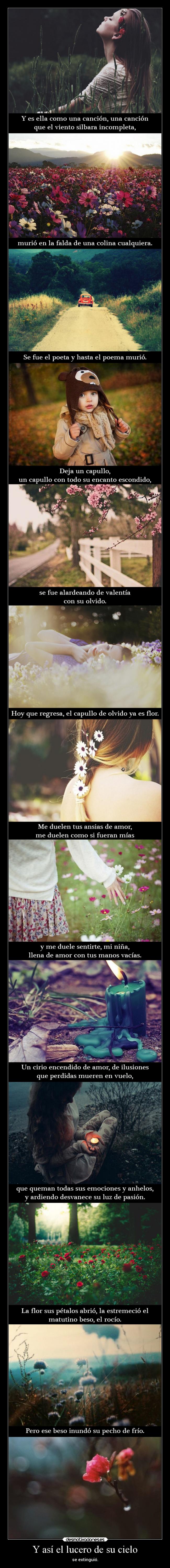 Y así el lucero de su cielo -