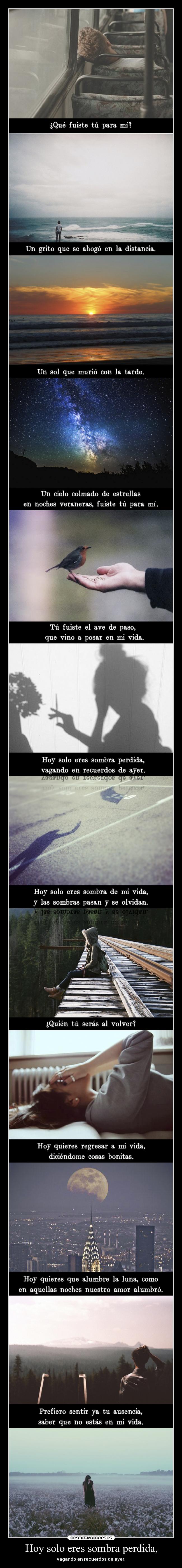 carteles bogota sombra perdida rafael orozco folclore colombia poetasingloria desmotivaciones