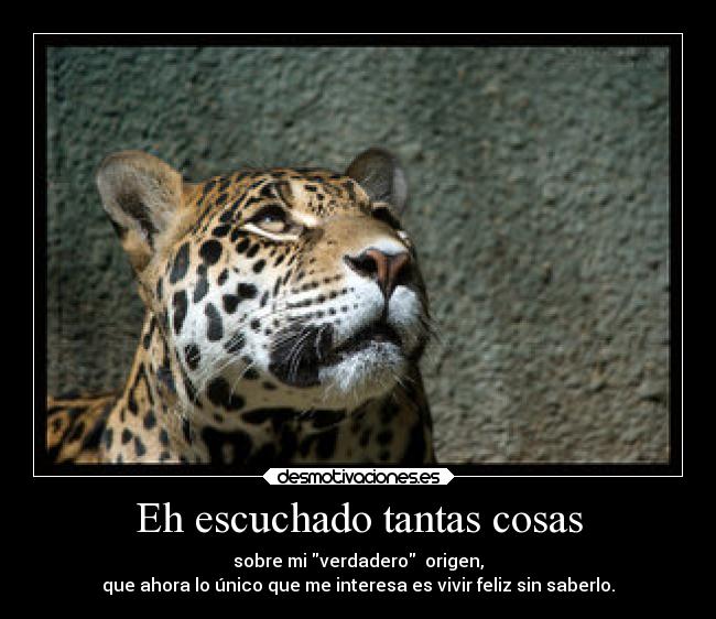 Eh escuchado tantas cosas - sobre mi verdadero  origen,
que ahora lo único que me interesa es vivir feliz sin saberlo.