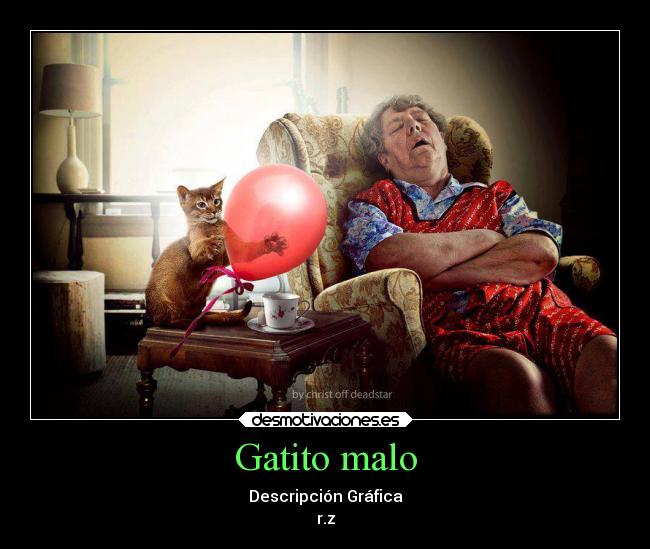Gatito malo - Descripción Gráfica
r.z