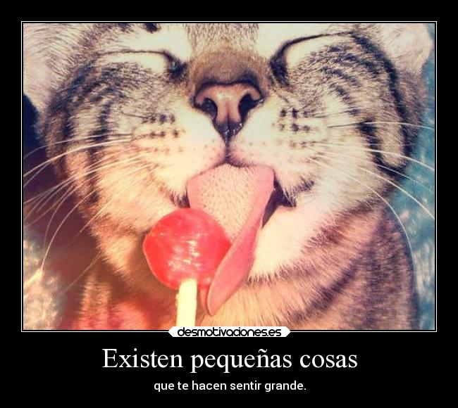 Existen pequeñas cosas - 
