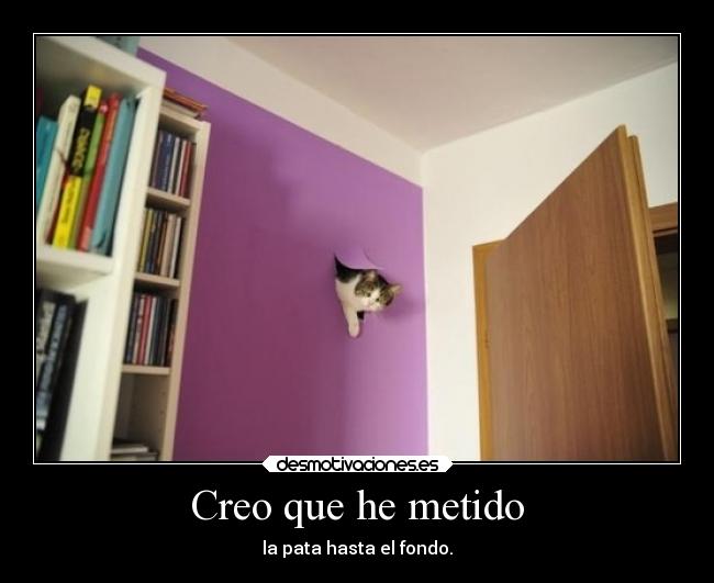 Creo que he metido -