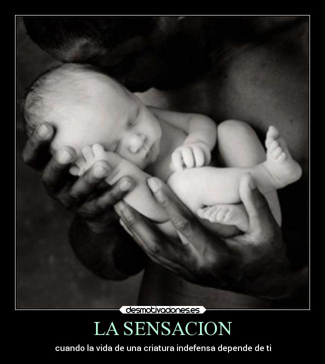 LA SENSACION - 