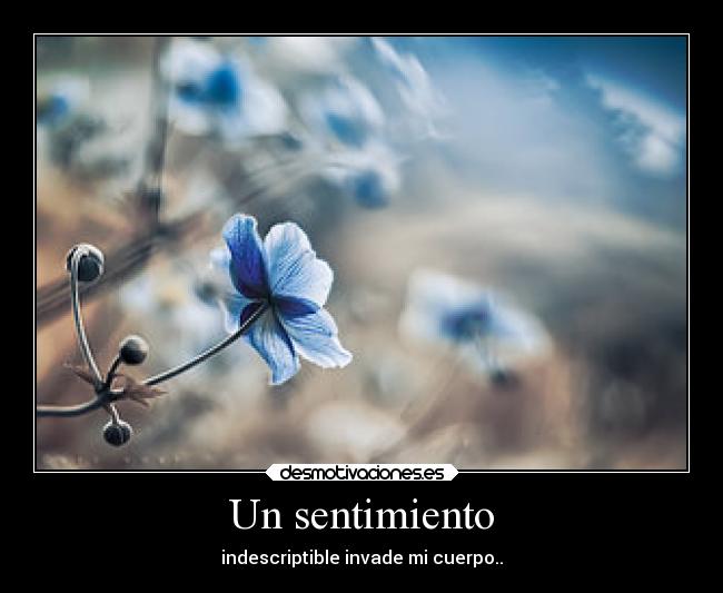 Un sentimiento - indescriptible invade mi cuerpo..