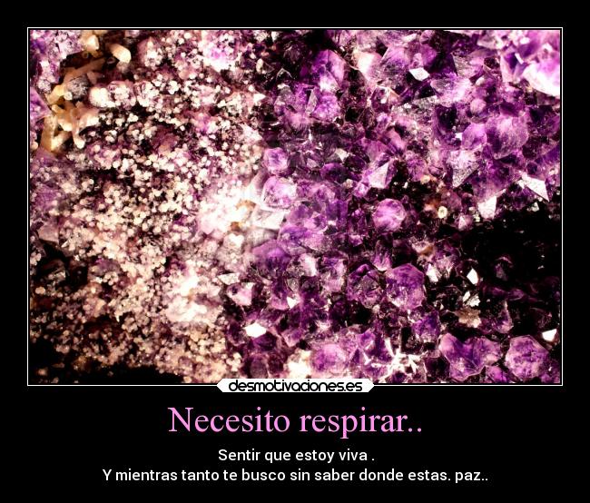 Necesito respirar.. - Sentir que estoy viva .
Y mientras tanto te busco sin saber donde estas. paz..