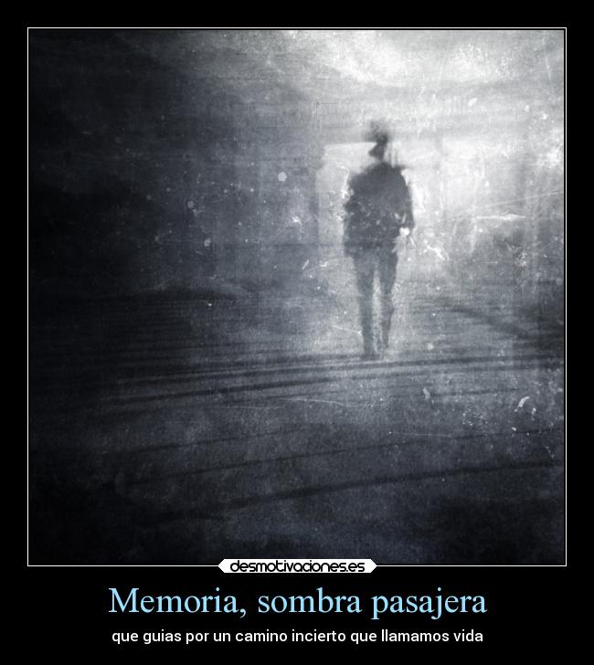 Memoria, sombra pasajera - 