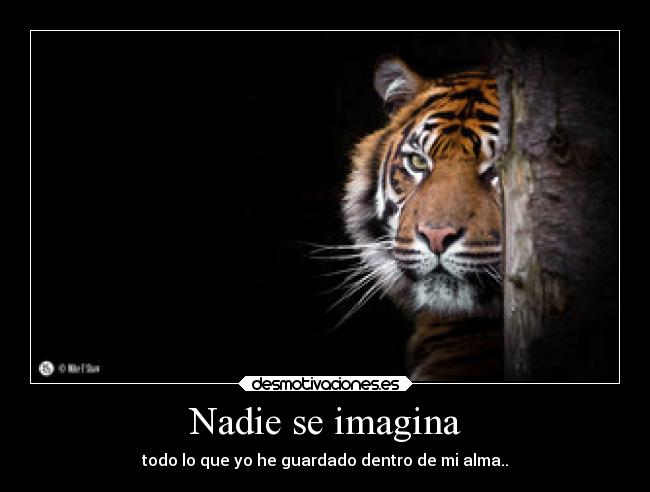 Nadie se imagina - todo lo que yo he guardado dentro de mi alma..