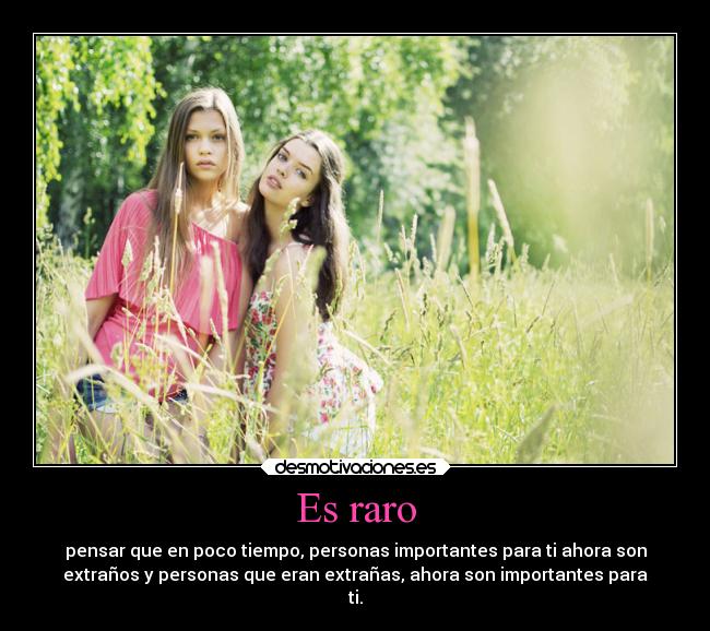 Es raro - pensar que en poco tiempo, personas importantes para ti ahora son
extraños y personas que eran extrañas, ahora son importantes para
ti.