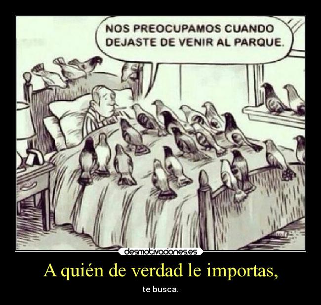 A quién de verdad le importas, - 