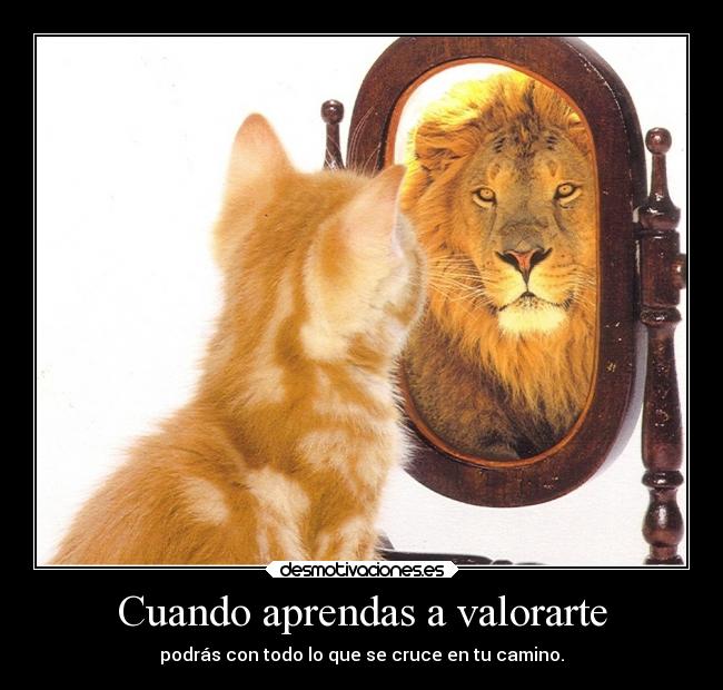 Cuando aprendas a valorarte - podrás con todo lo que se cruce en tu camino.