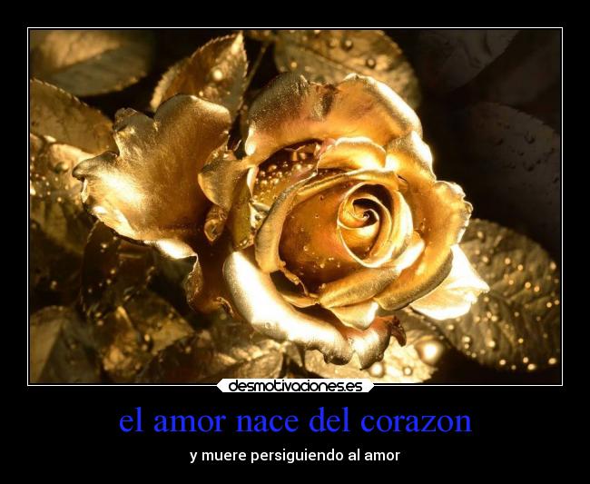 carteles amor corazon amor desmotivaciones