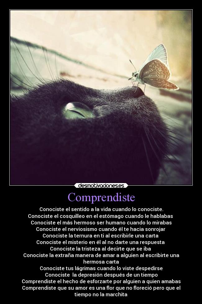 carteles amor desmotivaciones