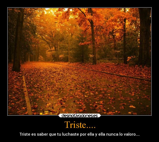 Triste.... - Triste es saber que tu luchaste por ella y ella nunca lo valoro....