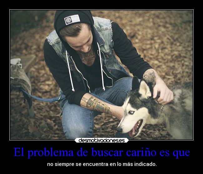 El problema de buscar cariño es que - no siempre se encuentra en lo más indicado.