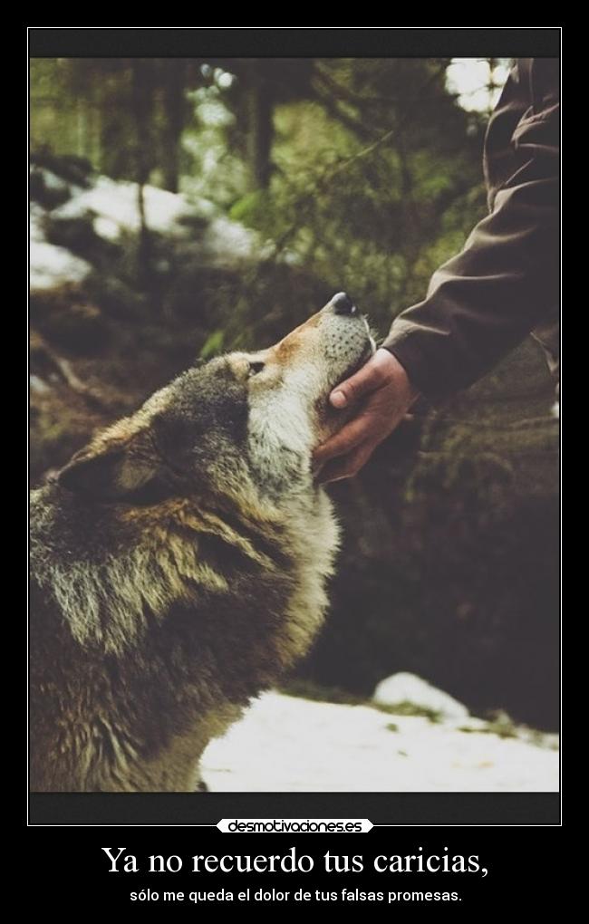 Ya no recuerdo tus caricias, - sólo me queda el dolor de tus falsas promesas.