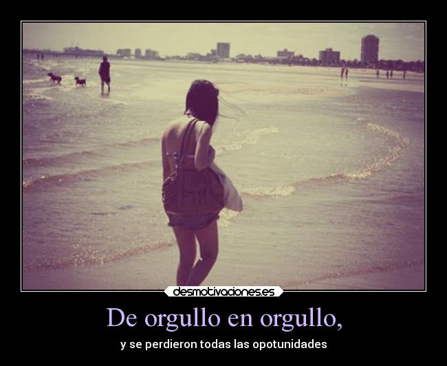 carteles amor vida orgullo oportunidades frase oca desmotivaciones