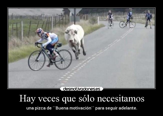 carteles animales alegria motivaciones uiquiorra correr desmotivaciones
