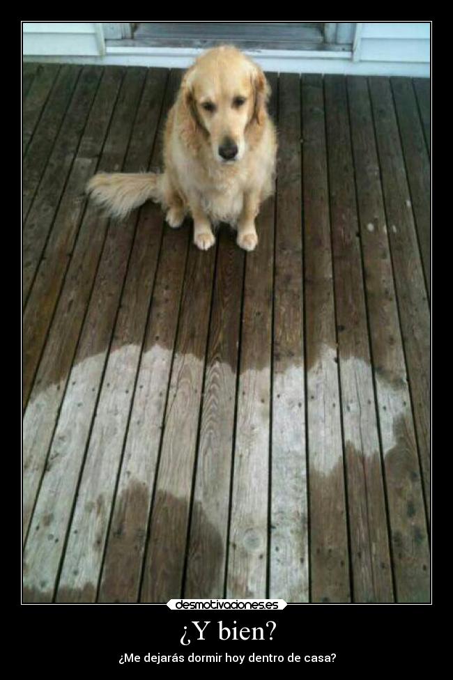 ¿Y bien? - 