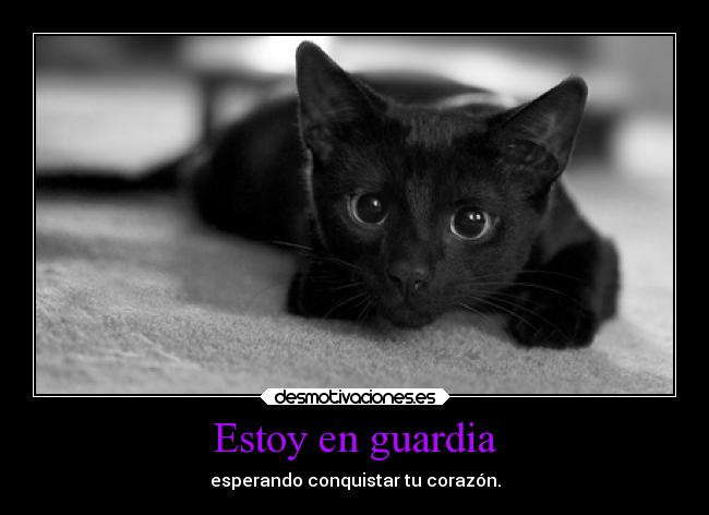 Estoy en guardia - esperando conquistar tu corazón.