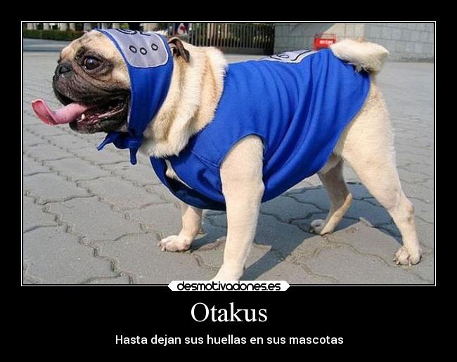 Otakus -
