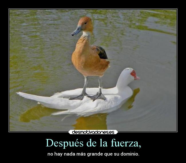 Después de la fuerza, -