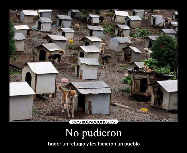 No pudieron -