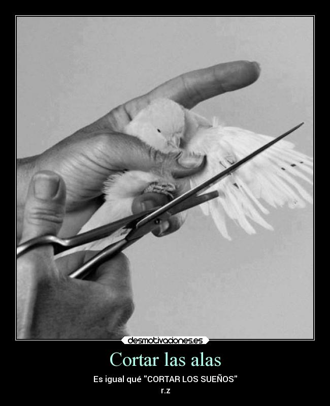 Cortar las alas - Es igual qué CORTAR LOS SUEÑOS
r.z