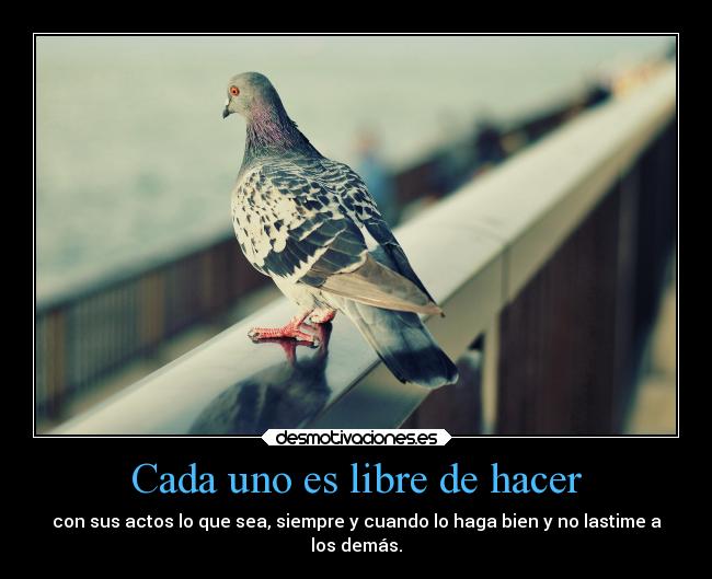 carteles animales desmotivaciones