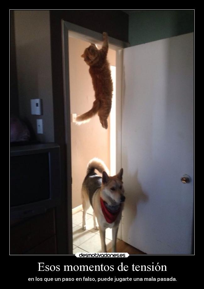 Esos momentos de tensión - 