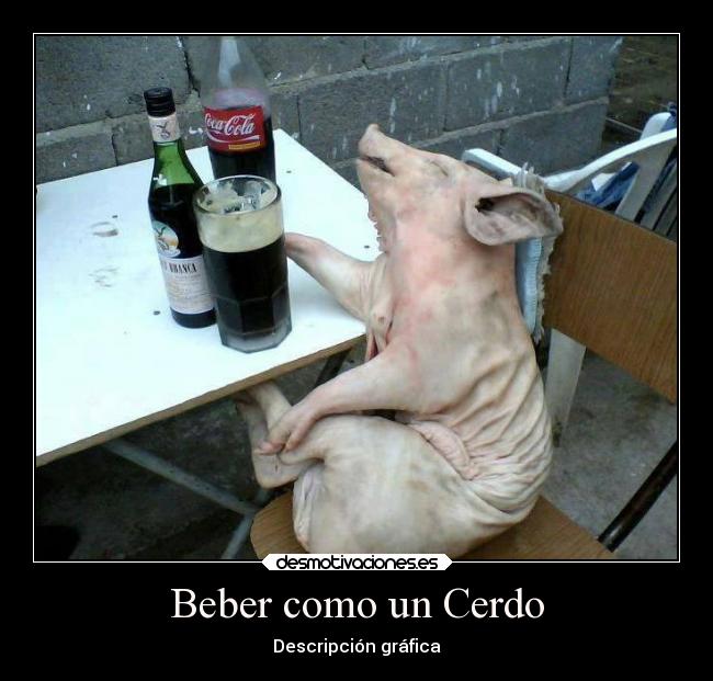 Beber como un Cerdo - 