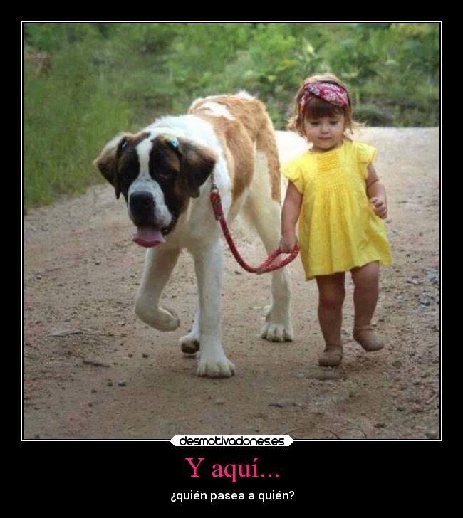 Y aquí... - ¿quién pasea a quién?