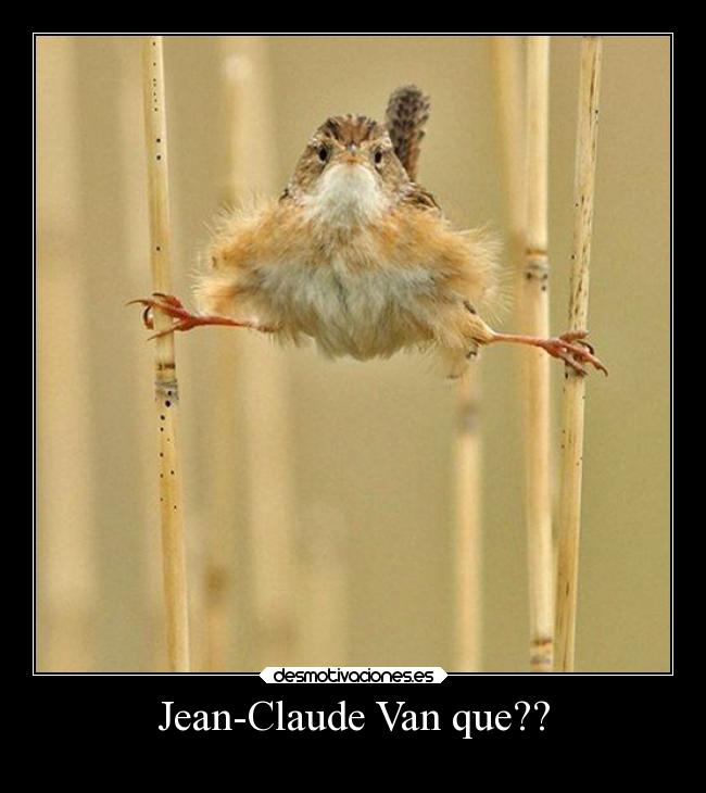 Jean-Claude Van que?? - 