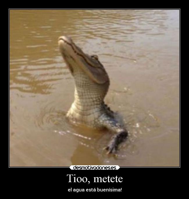 Tioo, metete - 