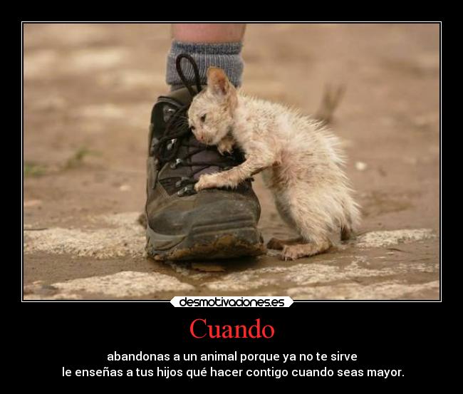 Cuando - abandonas a un animal porque ya no te sirve
le enseñas a tus hijos qué hacer contigo cuando seas mayor.