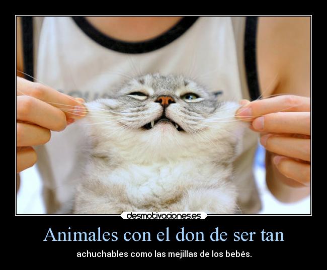 Animales con el don de ser tan - 