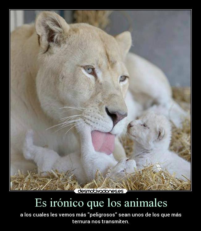 Es irónico que los animales - 