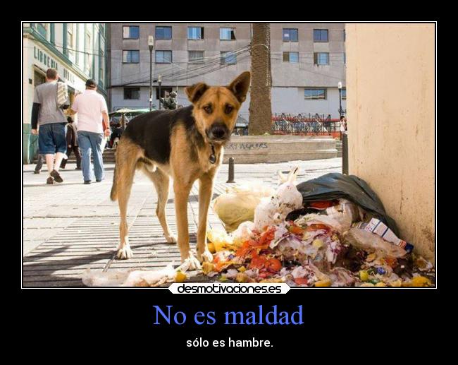 No es maldad - sólo es hambre.