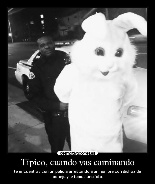 carteles animales fuck the logic desmotivaciones