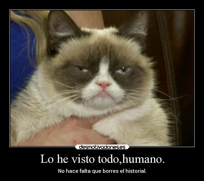 Lo he visto todo,humano. - No hace falta que borres el historial.