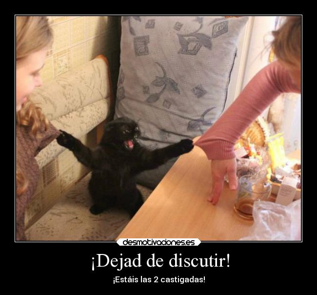¡Dejad de discutir! - 