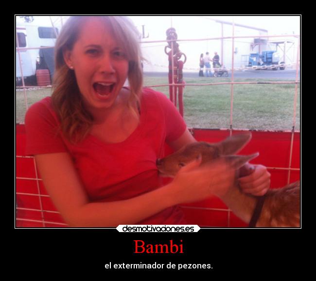 carteles animales humor ciervo bambi mierdadelmonton ramonysucamion desmotivaciones